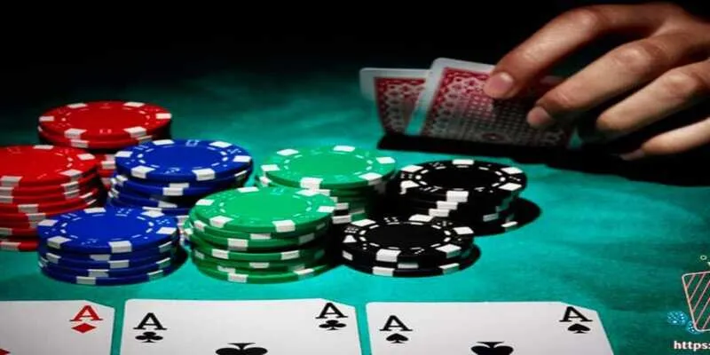 Mẹo đánh bài Catte kết hợp chiến thuật giúp thắng dễ dàng