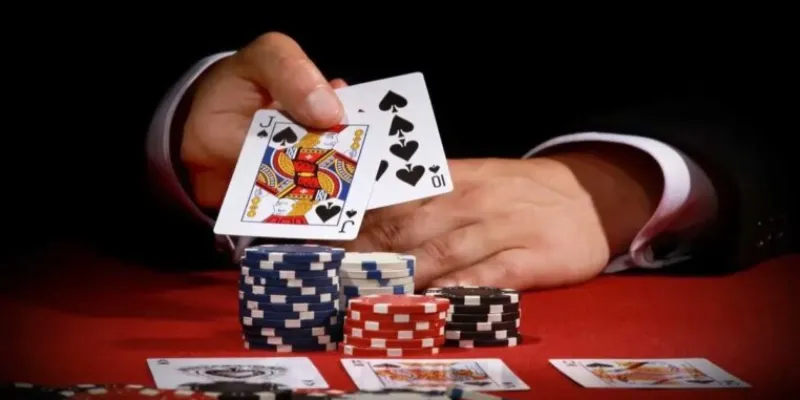 Phương pháp chơi Catte một cách chi tiết