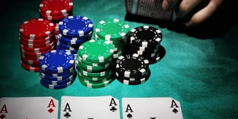 Mẹo chơi Catte đơn giản cho người mới bắt đầu