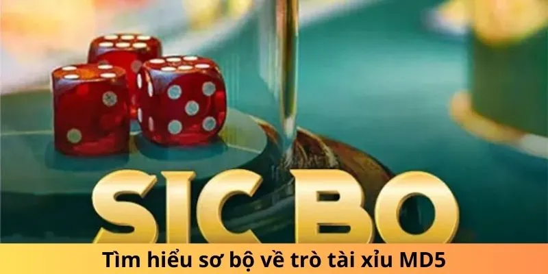 Cách chơi và nguyên tắc hoạt động của Tài Xỉu MD5